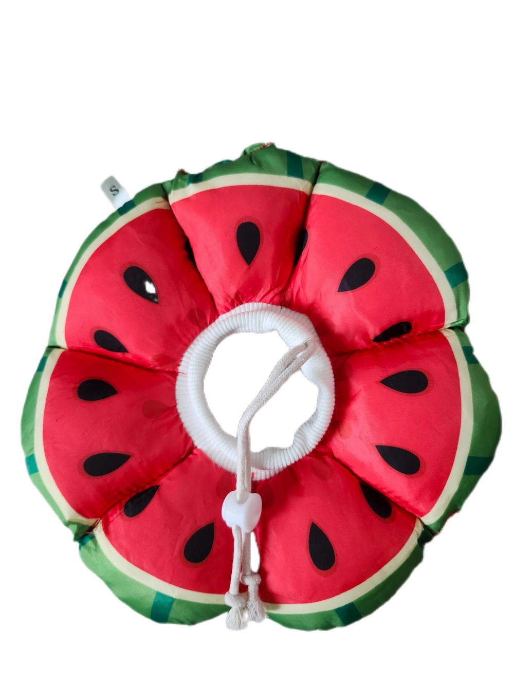 Collier gonflable de protection pour chien ou chat – Motif melon d'eau 🍉